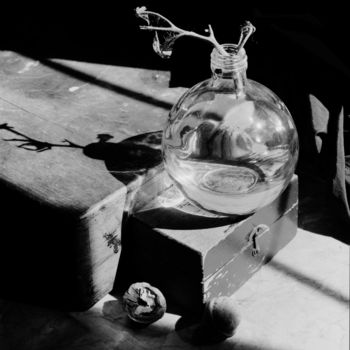 Photographie intitulée "Still life with a w…" par Alexey Sobolev, Œuvre d'art originale, Photographie argentique