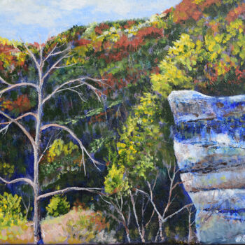 Pintura intitulada "Big Rock at Falls C…" por Alexis-Baranek Baranek, Obras de arte originais, Acrílico