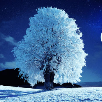 Digital Arts titled "Moonlit Winter Night" by Alex Mir, Original Artwork, Digital Painting