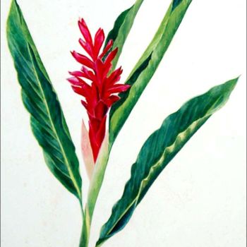 Peinture intitulée "L'Alpinia" par Alexxia, Œuvre d'art originale