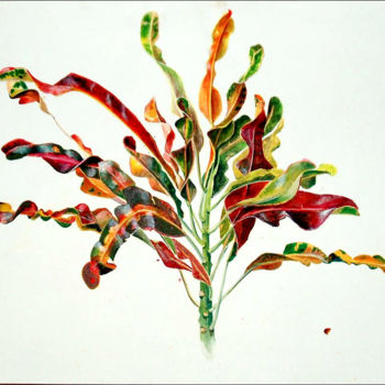 Painting titled "Croton" by Alexxia, Original Artwork, Ink