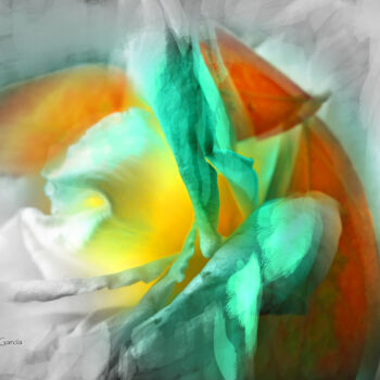 Arte digitale intitolato "Flor para Ti" da Alfonso García, Opera d'arte originale, Fotografia digitale
