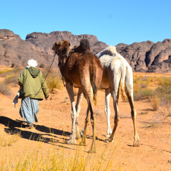 Φωτογραφία με τίτλο "Le guide du désert…" από Ali Messaoudi, Αυθεντικά έργα τέχνης, Ψηφιακή φωτογραφία