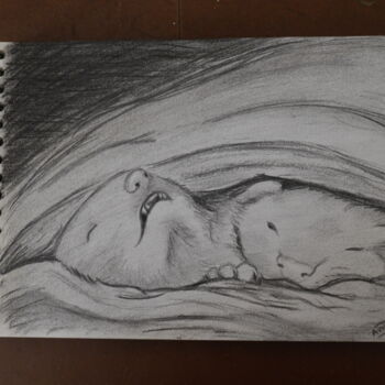 Drawing titled "Blanchette et Friqu…" by Alicia Vermant Nesztler, Original Artwork, Charcoal