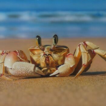 Картина под названием "Mr Crab Painting" - Alina Belyaeva, Подлинное произведение искусства, Аэрограф