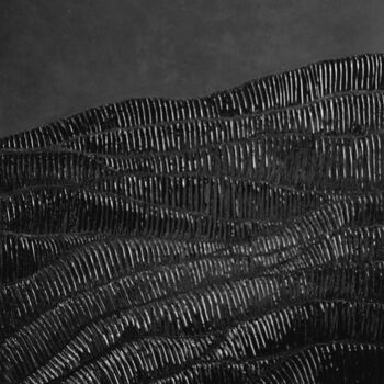 Картина под названием "Moire" - Aliona Nicolaeva, Подлинное произведение искусства, Гипс Установлен на Деревянная рама для н…