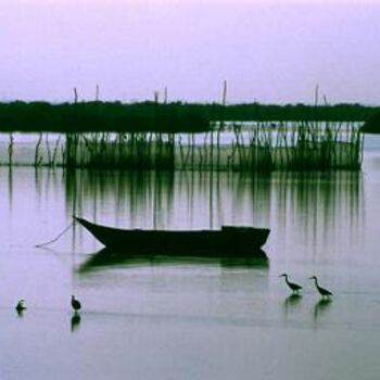 Photographie intitulée "Golfe Persique" par Alireza Firouzi, Œuvre d'art originale