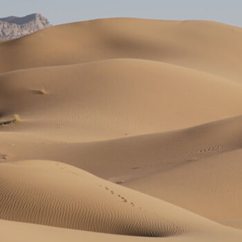 Photographie intitulée "018-046.jpg" par Alireza Firouzi, Œuvre d'art originale