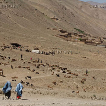 Photographie intitulée "Vallée de Bamiyan" par Alireza Firouzi, Œuvre d'art originale