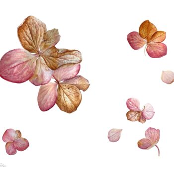 Malerei mit dem Titel "Hydrangea flowers (…" von Alisa Diakova, Original-Kunstwerk, Aquarell