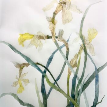 Pittura intitolato "Fading daffodils (2…" da Alisa Diakova, Opera d'arte originale, Acquarello