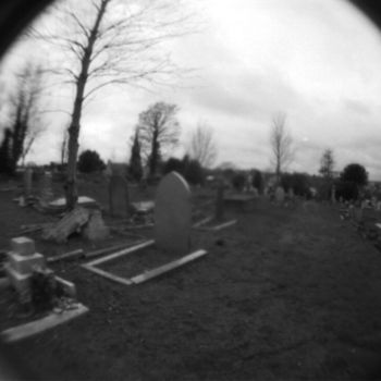 摄影 标题为“Pet Cemetery” 由Alis La Luna, 原创艺术品