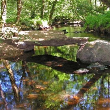 Photographie intitulée "Sous-bois à Huelgoat" par Fred Allard, Œuvre d'art originale