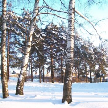 Fotografia zatytułowany „winter” autorstwa Allians, Oryginalna praca