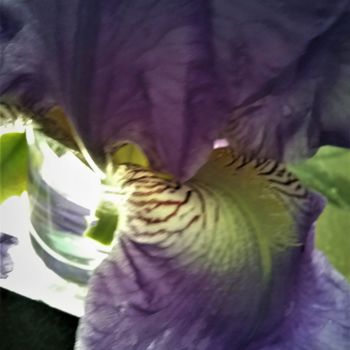 Photographie intitulée "coeur-iris3.jpg" par Claudette Allosio, Œuvre d'art originale