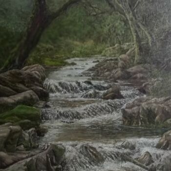 Pintura intitulada "Cachoeira do Brachuy" por Almir Tavares, Obras de arte originais, Óleo