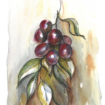 Drawing titled "Grape" by Alona Cherniavska, Original Artwork, Watercolor
