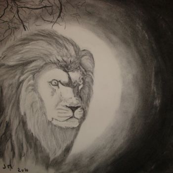 Drawing titled "Lion" by Jean-Marc Alric, Original Artwork, Charcoal