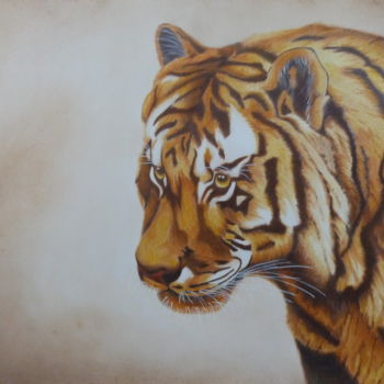 Dibujo titulada "Le tigre" por Daniel Alvarez, Obra de arte original, Lápiz