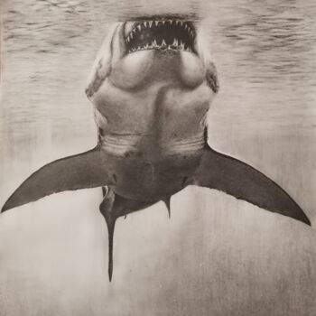 Dibujo titulada "Gran tiburón blanco" por Álvaro Urbanos Jiménez, Obra de arte original, Grafito Montado en Panel de madera