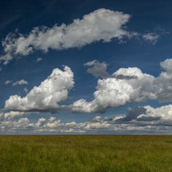 Fotografía titulada "A Lone Tree in Kenya" por Alyson Betz, Obra de arte original, Fotografía digital