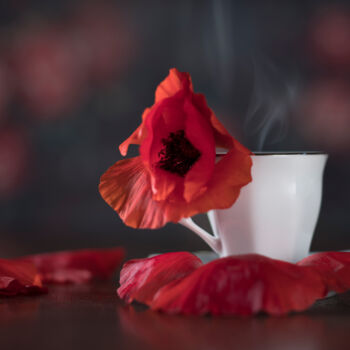 Fotografia zatytułowany „Cup of poppy” autorstwa Amandine Desjardins, Oryginalna praca, Fotografia cyfrowa