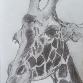 图画 标题为“La girafe” 由Amandine Eon, 原创艺术品, 铅笔