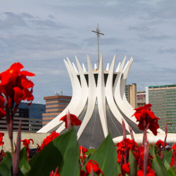 Photography titled "A catedral florida" by Amaury Santos, Original Artwork, Digital Photography