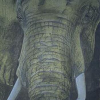 Painting titled "Elephant" by Ambre Saint Martin, Original Artwork