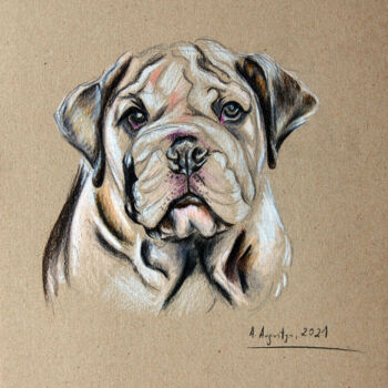 Dessin intitulée "Bulldog" par Amelia Urszula Augustyn, Œuvre d'art originale, Crayon