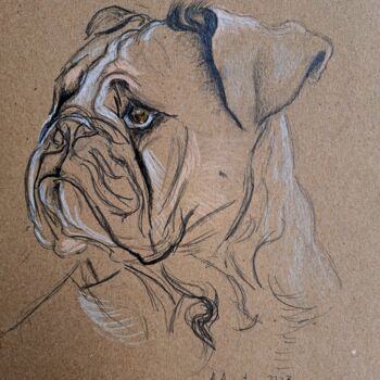 Dessin intitulée "Bulldog II" par Amelia Urszula Augustyn, Œuvre d'art originale, Crayon