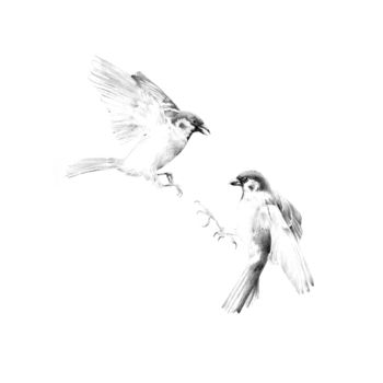 Rysunek zatytułowany „Duo d'oiseaux” autorstwa Amélie Helmstetter, Oryginalna praca, Atrament