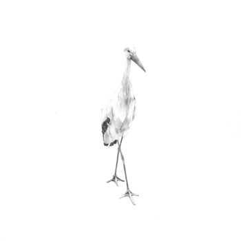 Disegno intitolato "Une cigogne" da Amélie Helmstetter, Opera d'arte originale, Inchiostro