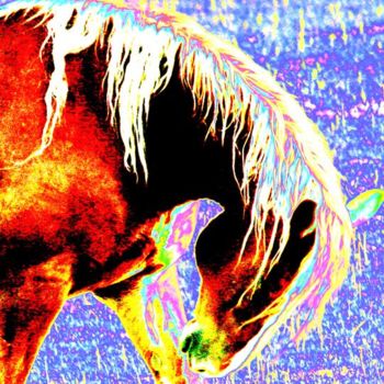 Photography titled "HORSE" by Anthony Amor, Original Artwork