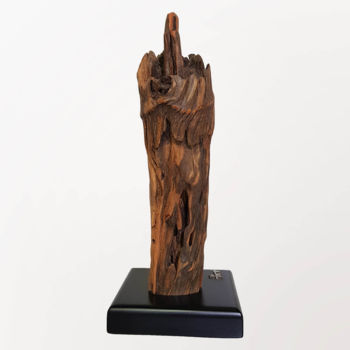 Sculpture titled "taboca-site-escultu…" by Ana Brandimarte, Original Artwork, Wood