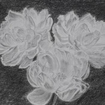 Drawing titled "Pivoines" by Ana Maria Rodriguez (AnaRz), Original Artwork, Charcoal