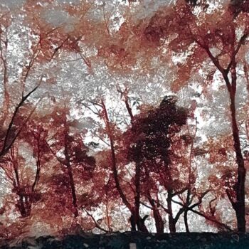 Цифровое искусство под названием "Autumn view in Sint…" - Ana Teresa Dias Da Silva, Подлинное произведение искусства, Фотомо…