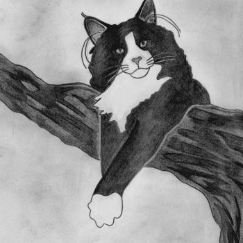 Drawing titled "The rebel Cat" by Ana Winter, Original Artwork, Graphite