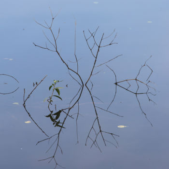 Photographie intitulée "Reflets lacustres" par Ana Felidae, Œuvre d'art originale, Photographie numérique