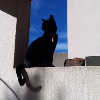 Photographie intitulée "Black cat in geomet…" par Ana Felidae, Œuvre d'art originale, Photographie numérique