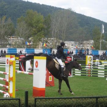 Fotografie mit dem Titel "horse" von Ana Macovei, Original-Kunstwerk