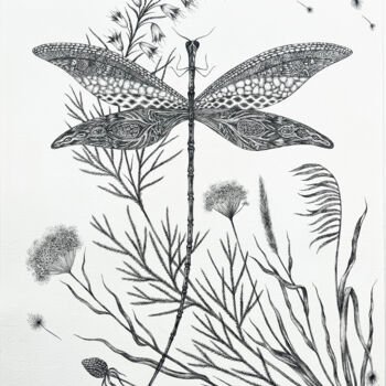 Drawing titled "The Dragonfly" by Anastasia Cherezova, Original Artwork, Ink