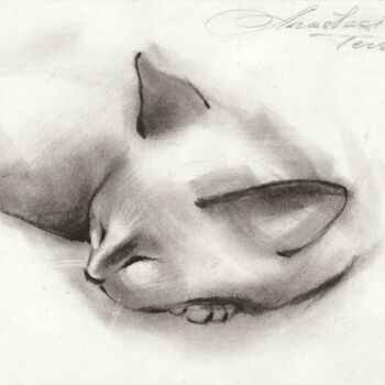 Peinture intitulée "SLEEPING CAT" par Anastasija Terskiha, Œuvre d'art originale, Fusain
