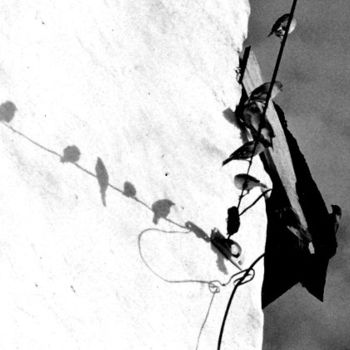 Fotografie mit dem Titel "sombras" von Gustavo Horacio Andino, Original-Kunstwerk