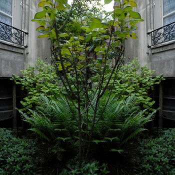 Fotografía titulada "Jardin d'ivry" por André Boulze, Obra de arte original