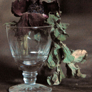 Photographie intitulée "Nature morte fleur…" par André Boulze, Œuvre d'art originale, Photographie numérique