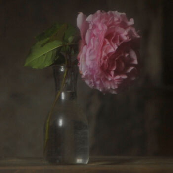 Фотография под названием "Bouquet n° 10" - André Boulze, Подлинное произведение искусства