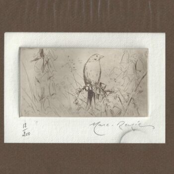 Prenten & gravures getiteld ""Oiseau" de Marc-Ré…" door André Colpin, Origineel Kunstwerk, Ets