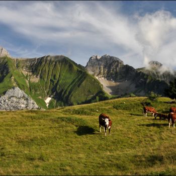 Photography titled "Plateau de Cenise /…" by André Galvan, Original Artwork