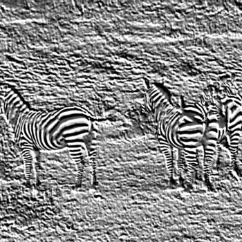 Fotografia intitulada "zebre-noir-et-blanc…" por André Goinaud, Obras de arte originais